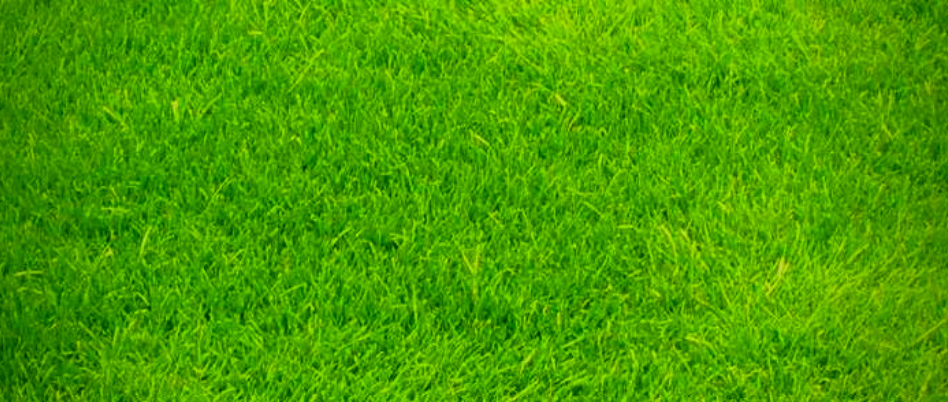 Golf Schnupperkurs Willich